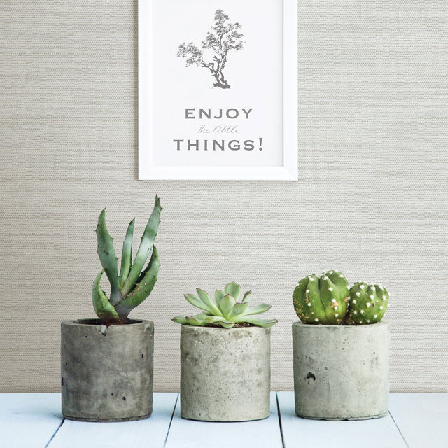 Agave Light Grey Faux Grasscloth Wallpaper with Coastal Graphics Pattern - 2902-24278