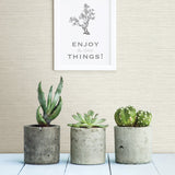 Agave Off White Faux Grasscloth Wallpaper with Traditional Graphics Pattern - A-Street Prints 2902-24281