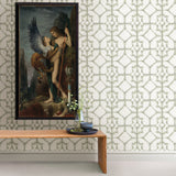 Verandah Moss Shibori Wallpaper with Distressed Trellis Pattern - A-Street Prints 2902-25531
