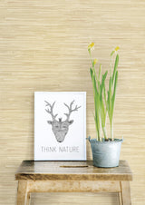 Natalie Wheat Weave Texture Wallpaper in Faux Grasscloth Pattern, Kitchen & Bath - Brewster 2904-22267
