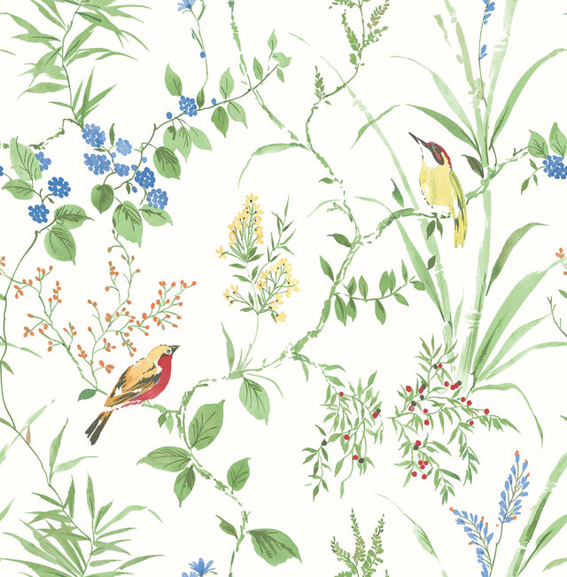 Imperial Garden Green Botanical Wallpaper with Leaves and Songbirds - Brewster 2904-24173