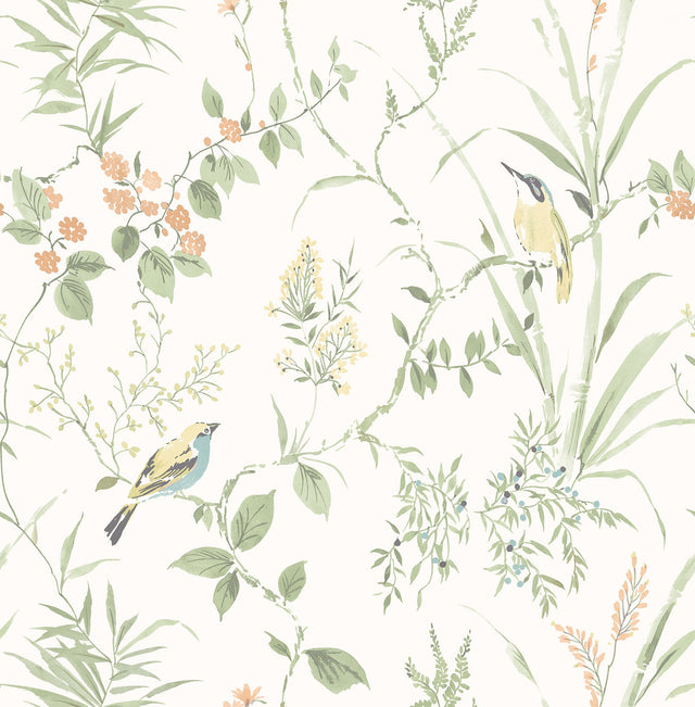 Imperial Garden Sage Botanical Wallpaper with Watercolor Leaves & Songbirds - Brewster 2904-24174