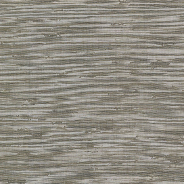 Fiber Taupe Faux Grasscloth Wallpaper with Graphics Pattern, Kitchen & Bath Style - Brewster 2904-24416