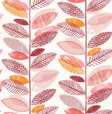 Nyssa Coral Leaves Coral Wallpaper with Botanical Kitchen & Bath Style - Brewster 2904-25684