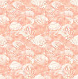 Surfside Coral Shells Coral Wallpaper with Coastal Shell Motif - Brewster 2904-25689