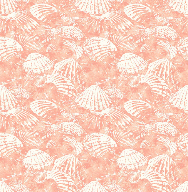 Surfside Coral Shells Coral Wallpaper with Coastal Shell Motif - Brewster 2904-25689