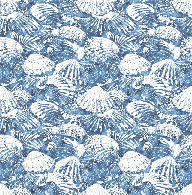 Surfside Blue Shells Wallpaper with Coastal Beach Shell Motif - Brewster 2904-25691