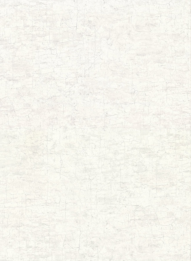 Pembroke White Faux Plaster Wallpaper with Traditional Plaster Effects Pattern - Warner 2921-51100