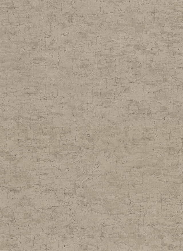 Pembroke Brown Faux Plaster Wallpaper with Plaster Effects Texture - Warner 2921-51106