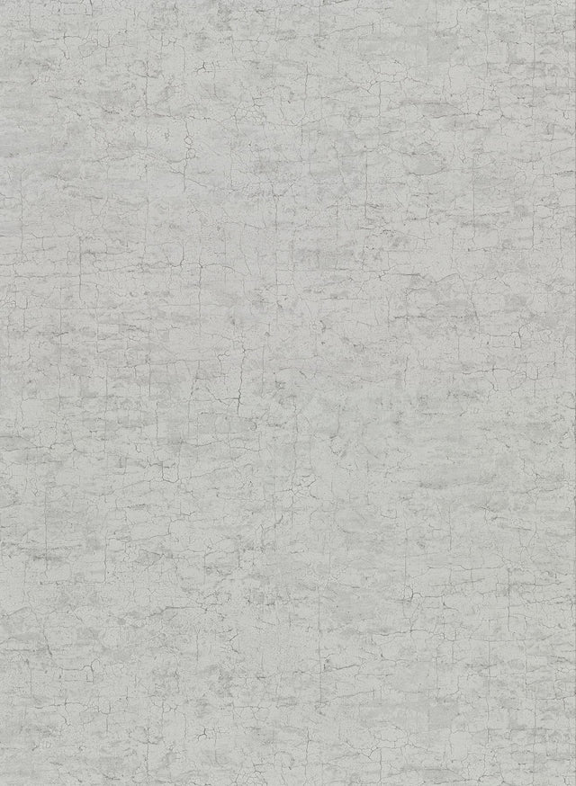 Pembroke Grey Faux Plaster Wallpaper with Traditional Plaster Effects - Warner 2921-51118