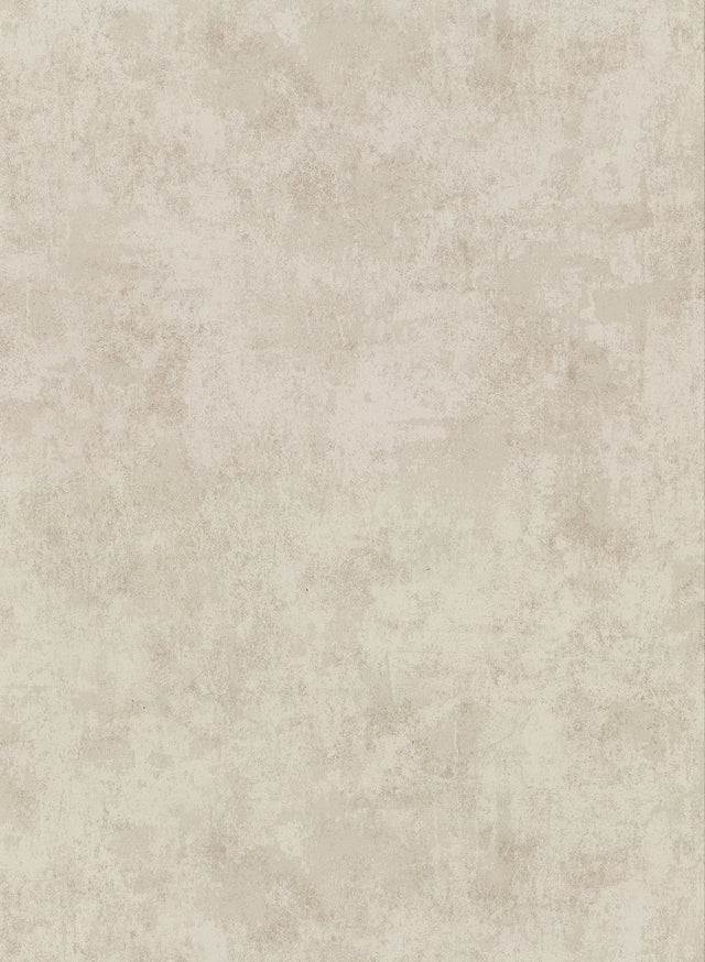 Hereford Taupe Faux Plaster Wallpaper with Distressed Textures - Warner 2921-51205