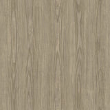 Tanice Light Brown Faux Wood Texture Wallpaper
