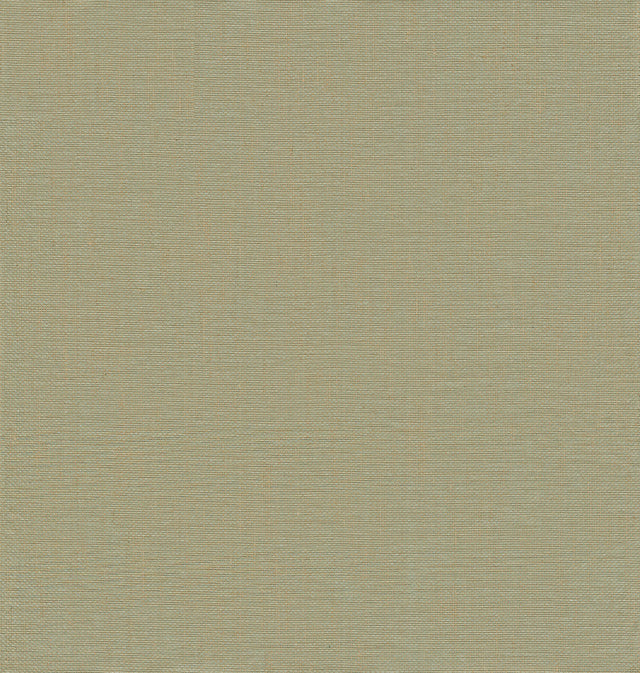 Yanyu Sage Paper Weave Wallpaper with Distressed Textures in Farmhouse Style - 2923-86143