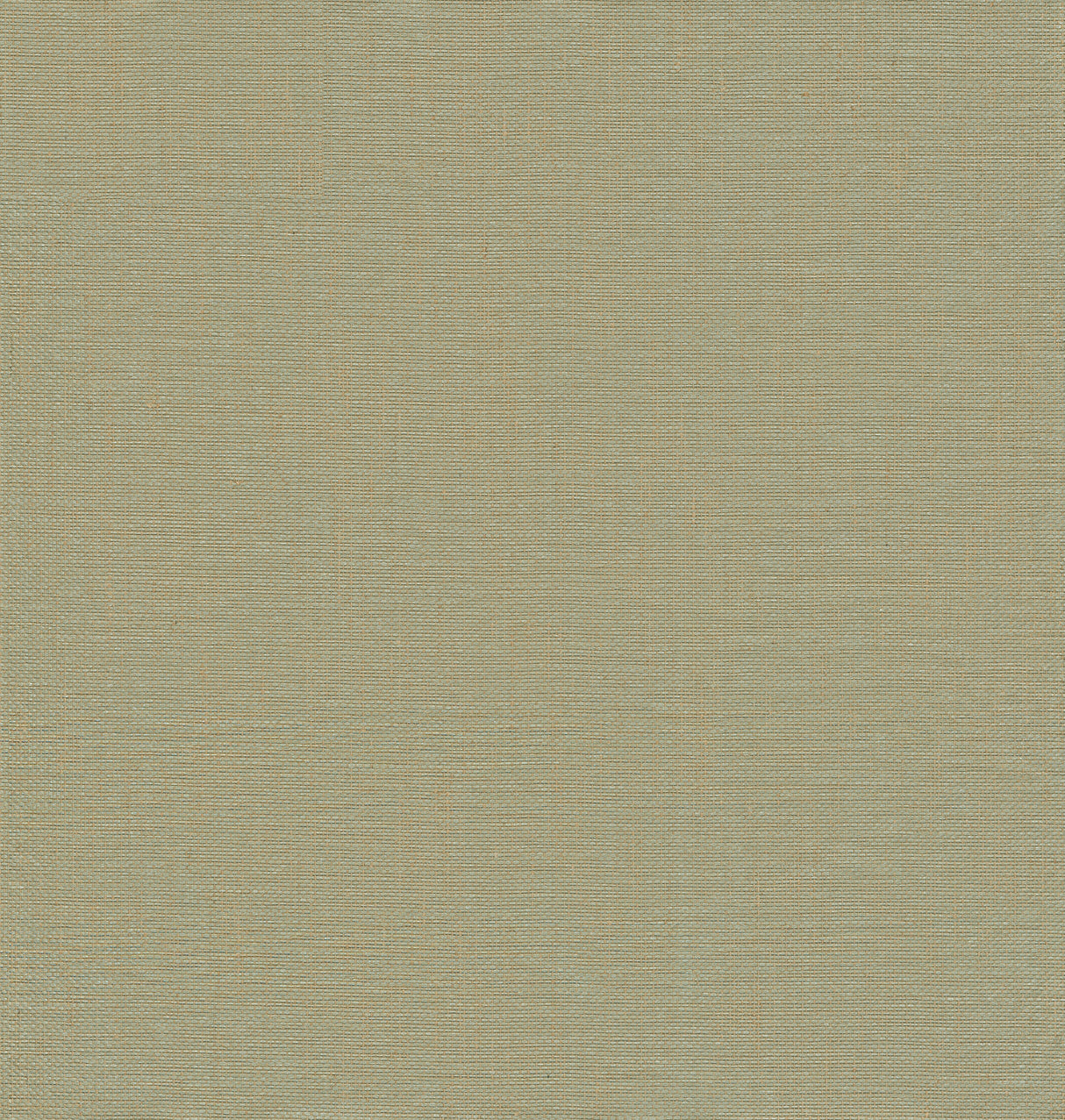 Yanyu Sage Paper Weave Grasscloth Wallpaper by A-Street Prints - GRL86143