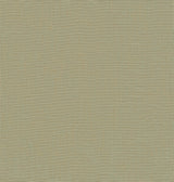 Yanyu Sage Paper Weave Grasscloth Wallpaper by A-Street Prints - GRL86143