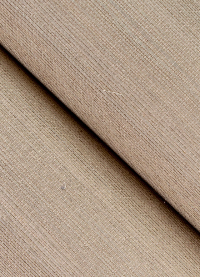 Weici Champagne Sisal Grasscloth Wallpaper with Modern Texture Pattern - A-Street Prints 2923-88053