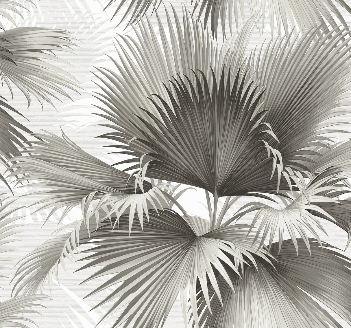 Summer Palm Charcoal Tropical Wallpaper with Botanical Leaf Motif - A-Street Prints 2927-40100