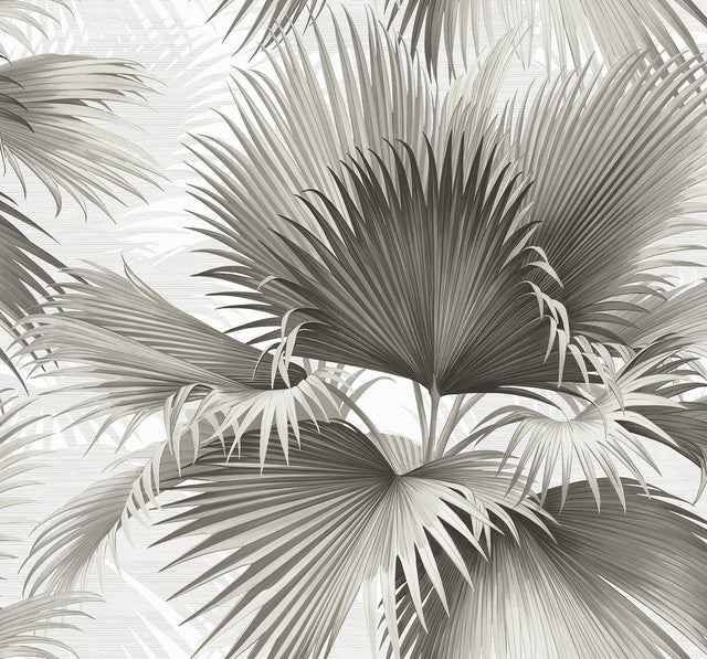 Summer Palm Charcoal Tropical Wallpaper with Botanical Leaf Motif - A-Street Prints 2927-40100
