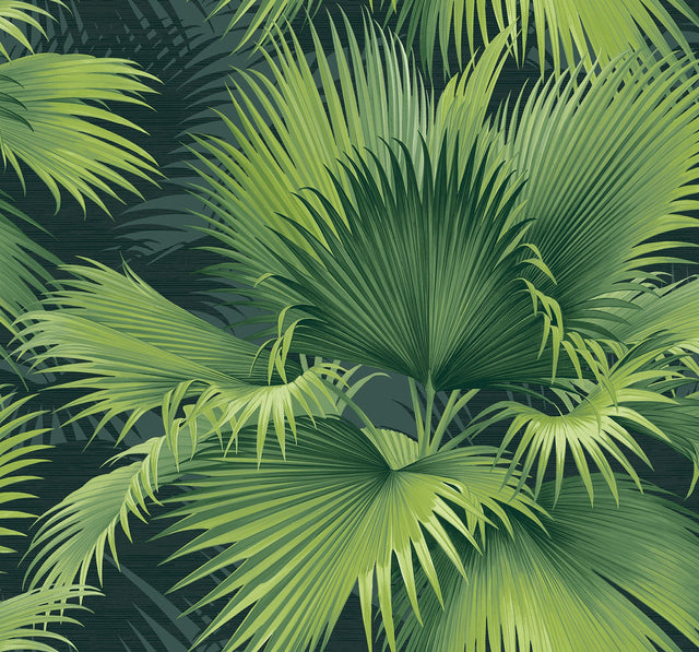Summer Palm Dark Green Tropical Wallpaper with Botanical Leaf Motif - A?Street Prints 2927-40104