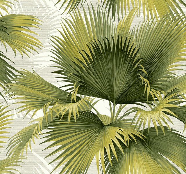 Summer Palm Green Wallpaper with Tropical Leaves Motif - A-Street Prints 2927-40114