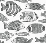 Wailea Black Tropical School Black Wallpaper with Coastal Tropical Fish Pattern - A-Street Prints 2927-80200