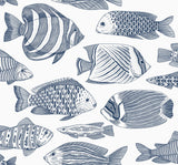 Wailea Indigo Tropical School Coastal Wallpaper with Blue Fish Pattern - A-Street Prints 2927-80202