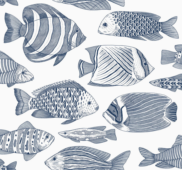 Wailea Indigo Tropical School Coastal Wallpaper with Blue Fish Pattern - A-Street Prints 2927-80202