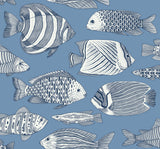 Wailea Sky Blue Tropical School Coastal Wallpaper with Fish Motif - A-Street Prints 2927-80212