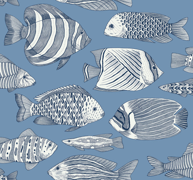 Wailea Sky Blue Tropical School Coastal Wallpaper with Fish Motif - A-Street Prints 2927-80212