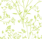 Southport Chartreuse Delicate Branches Wallpaper with Botanical Coastal Motif - A-Street Prints 2927-80704