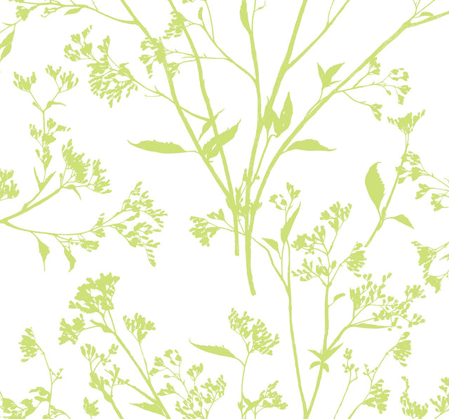 Southport Chartreuse Delicate Branches Wallpaper with Botanical Coastal Motif - A-Street Prints 2927-80704