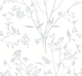 Southport Light Grey Delicate Branches Wallpaper with Coastal Botanical Motif - Brewster 2927-80708