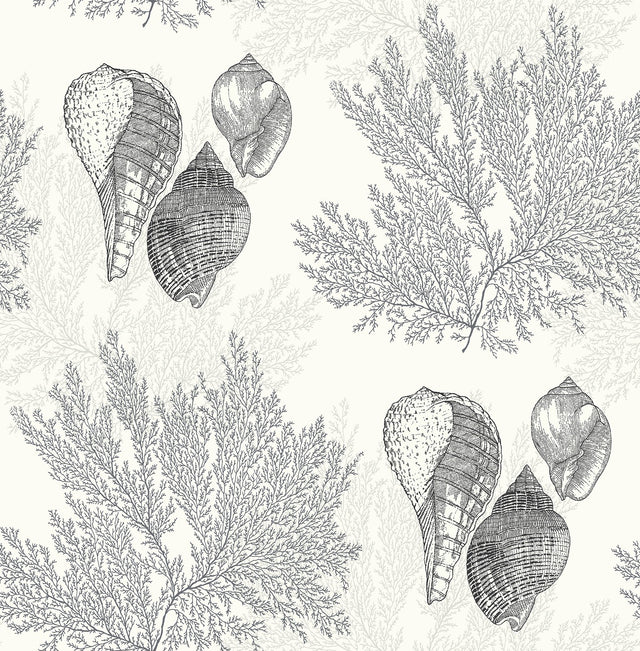 Nauset Black Seashell Shores Wallpaper with Coastal Beach Novelty Pattern - A-Street Prints 2927-81200