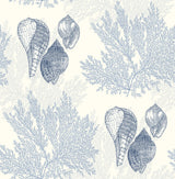 Nauset Blue Seashell Shores Wallpaper with Coastal Novelty Shell & Coral Motif - A-Street Prints 2927-81202