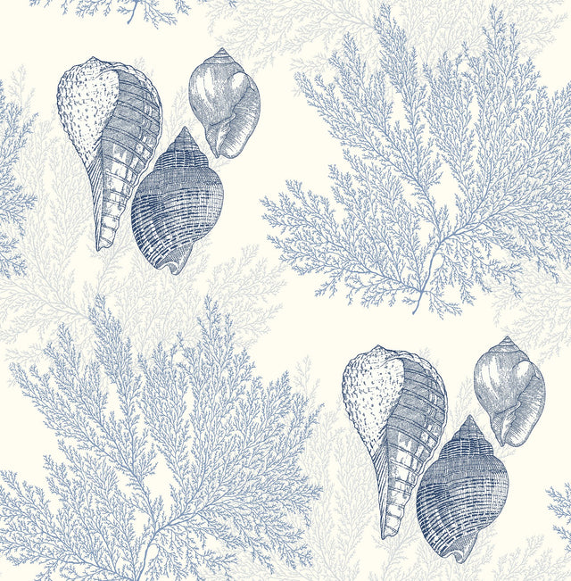 Nauset Blue Seashell Shores Wallpaper with Coastal Novelty Shell & Coral Motif - A-Street Prints 2927-81202