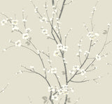 Monterey Ivory Floral Branch Wallpaper with Coastal Botanical Flowers Pattern - Brewster 2927-81805