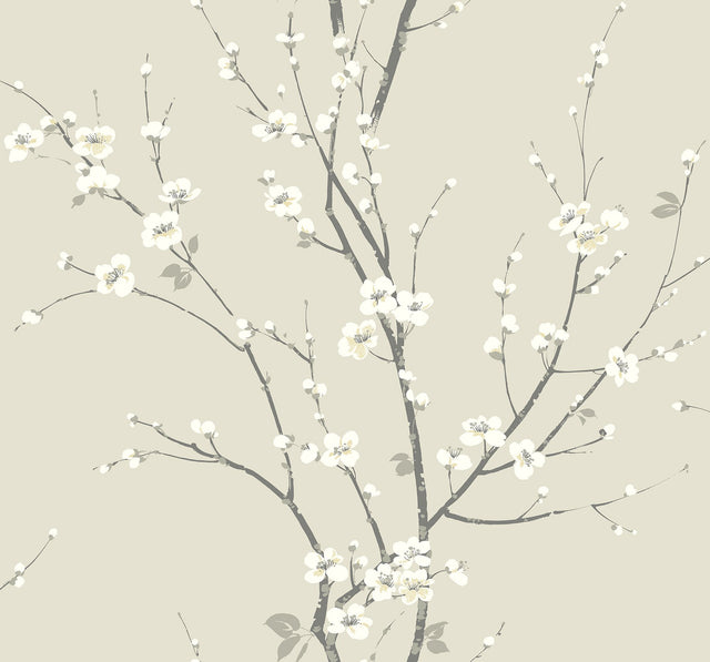 Monterey Ivory Floral Branch Wallpaper with Coastal Botanical Flowers Pattern - Brewster 2927-81805