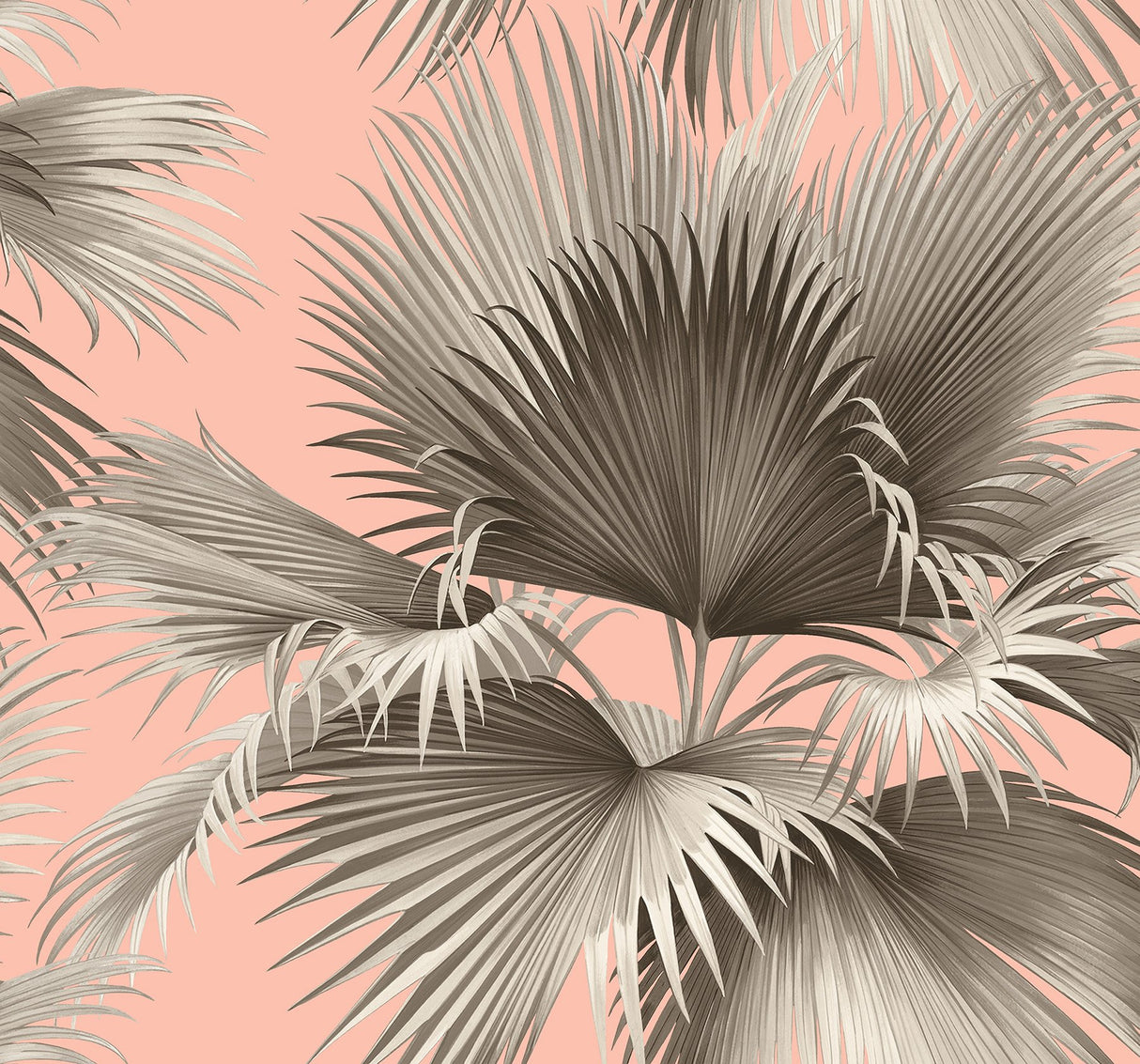Summer Palm Blush Tropical Wallpaper with Botanical Leaves Motif - A-Street Prints 2927-81901