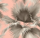 Summer Palm Blush Tropical Wallpaper with Botanical Leaves Motif - A-Street Prints 2927-81901