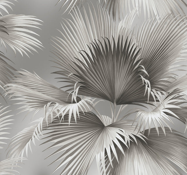 Summer Palm Platinum Tropical Wallpaper with Botanical Leaves Motif - A-Street Prints 2927-81908