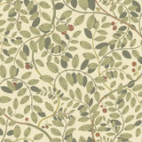 Kirke Green Leafy Vines Green Wallpaper with Botanical Fruit Motif, Scandinavian Non Woven - A-Street Prints 2932-65107