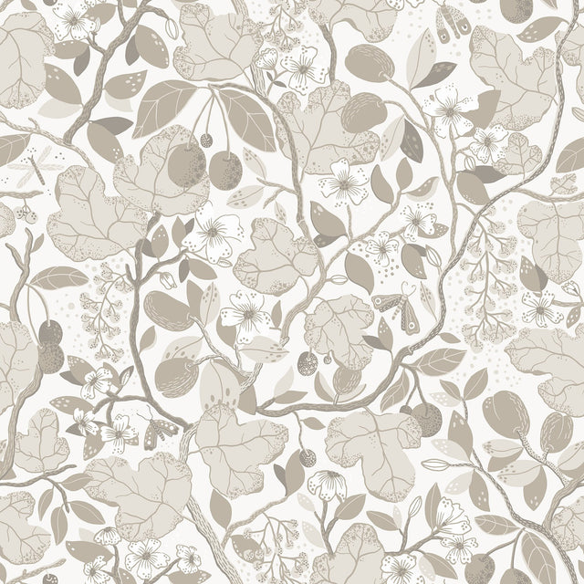 Ewald Beige Garden Vines Wallpaper with Botanical Floral Pattern, Eclectic Style - A-Street Prints 2932-65120