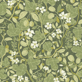 Ewald Green Garden Vines Wallpaper with Botanical Floral Pattern - A-Street Prints 2932-65121