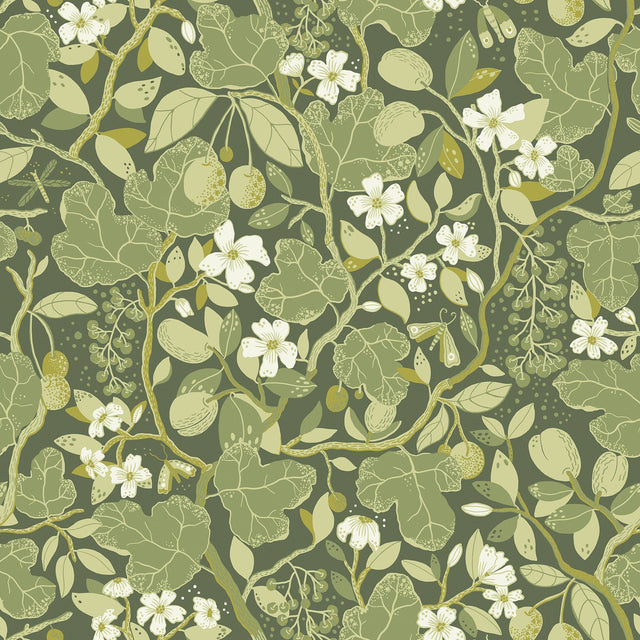 Ewald Green Garden Vines Wallpaper with Botanical Floral Pattern - A-Street Prints 2932-65121