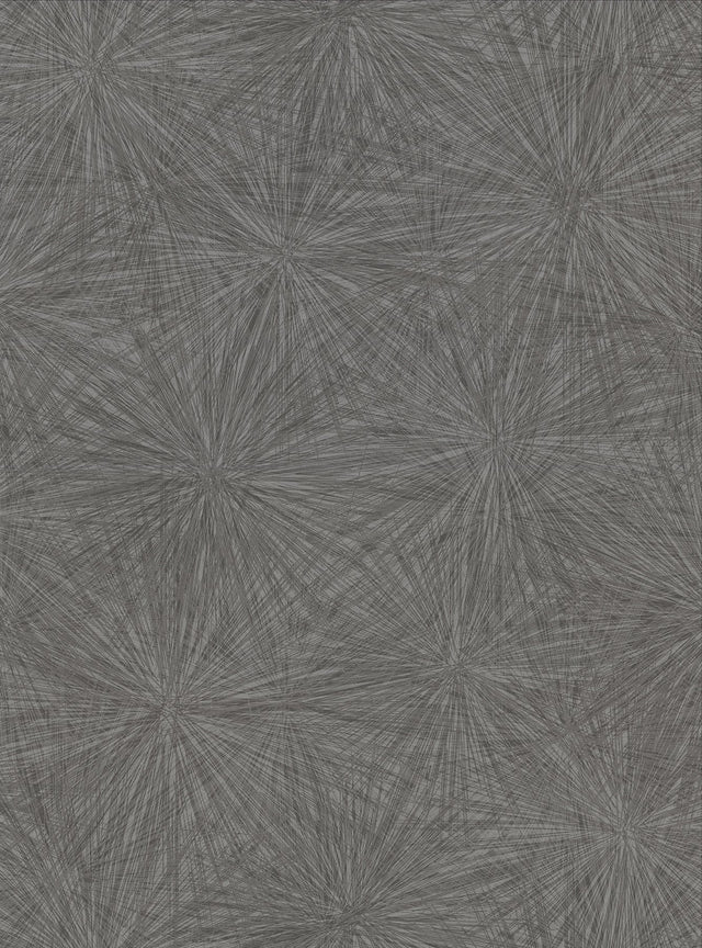 Majestic Black Starburst Wallpaper with Modern Abstract Starburst Pattern - Warner 2945-1119