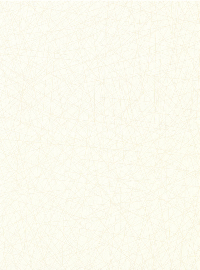 Allover Stix Cream Geometric Wallpaper with Abstract Feature Wall Style - Warner 2945-4001