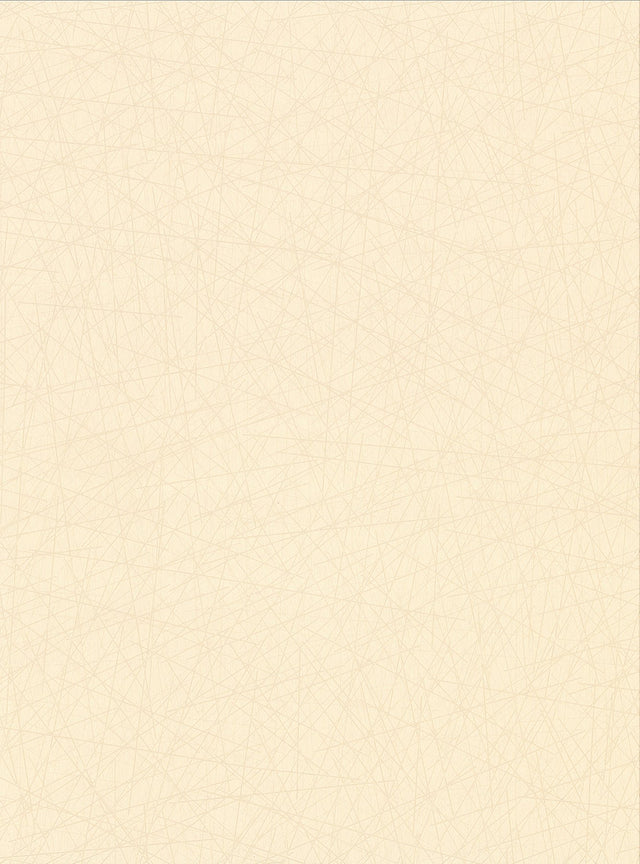 Allover Stix Champagne Geometric Wallpaper with Abstract Feature Wall Texture - Warner 2945-4002