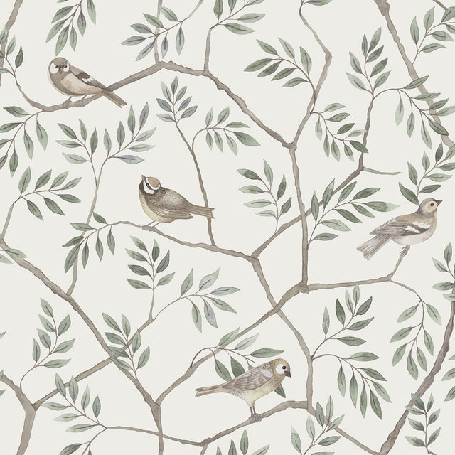 Crossbill Off White Branches Wallpaper with Botanical Trees Bird Motif - A-Street Prints 2948-27015