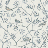 Crossbill Light Blue Branches Wallpaper with Birds Motif - A-Street Prints 2948-27016