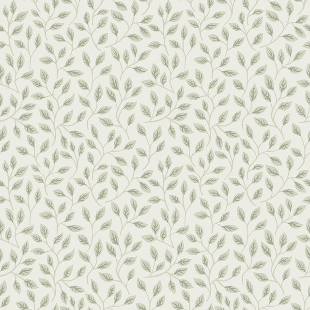 Posey Light Green Vines Wallpaper with Scandinavian Botanical Leaf Motif - A-Street Prints 2948-33019